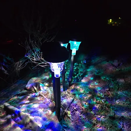 Dark Paradise * Mere