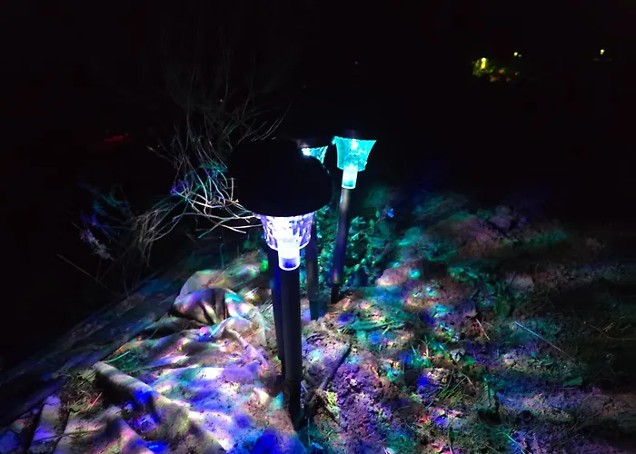 Dark Paradise * Mere